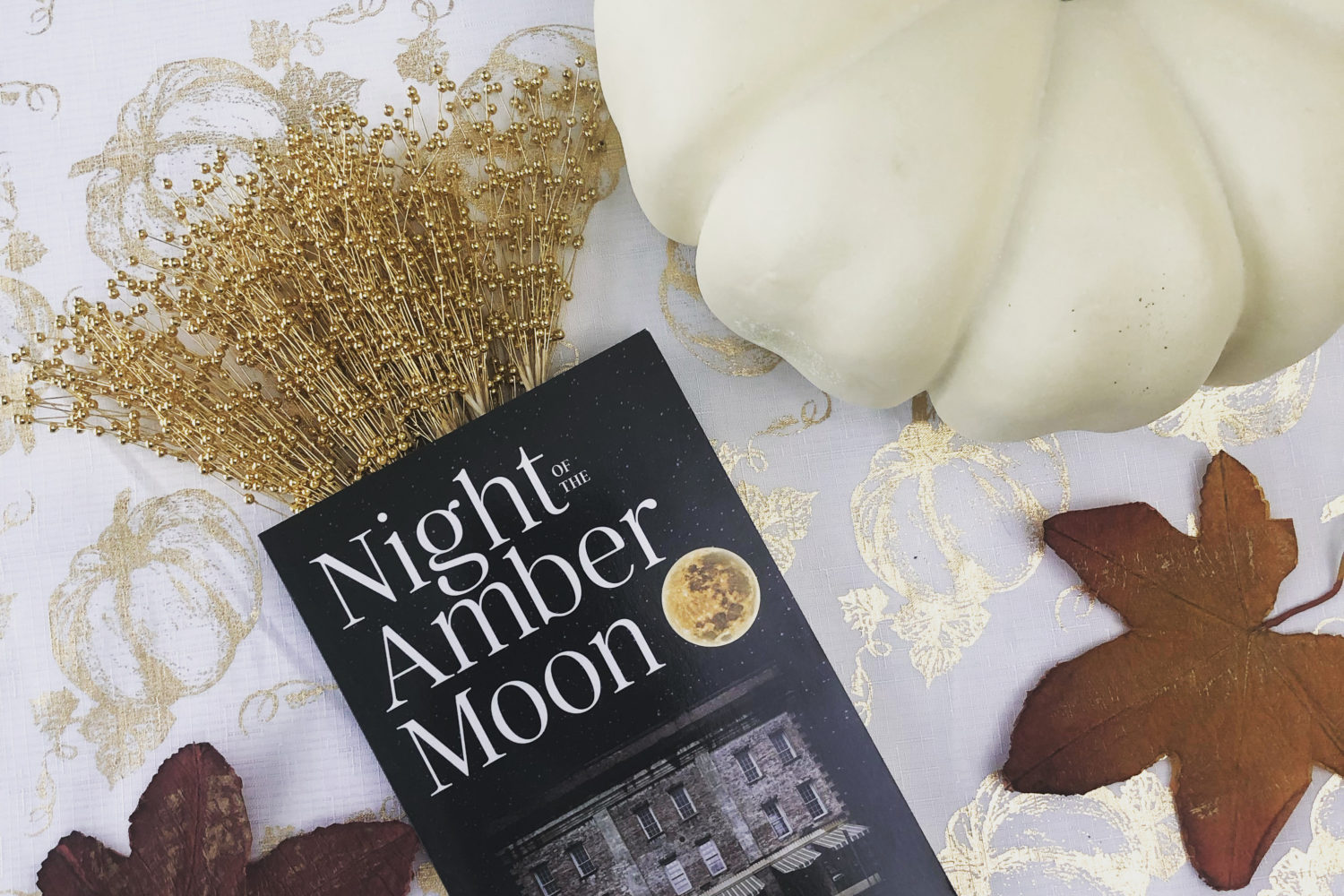 Night of the Amber Moon book cover