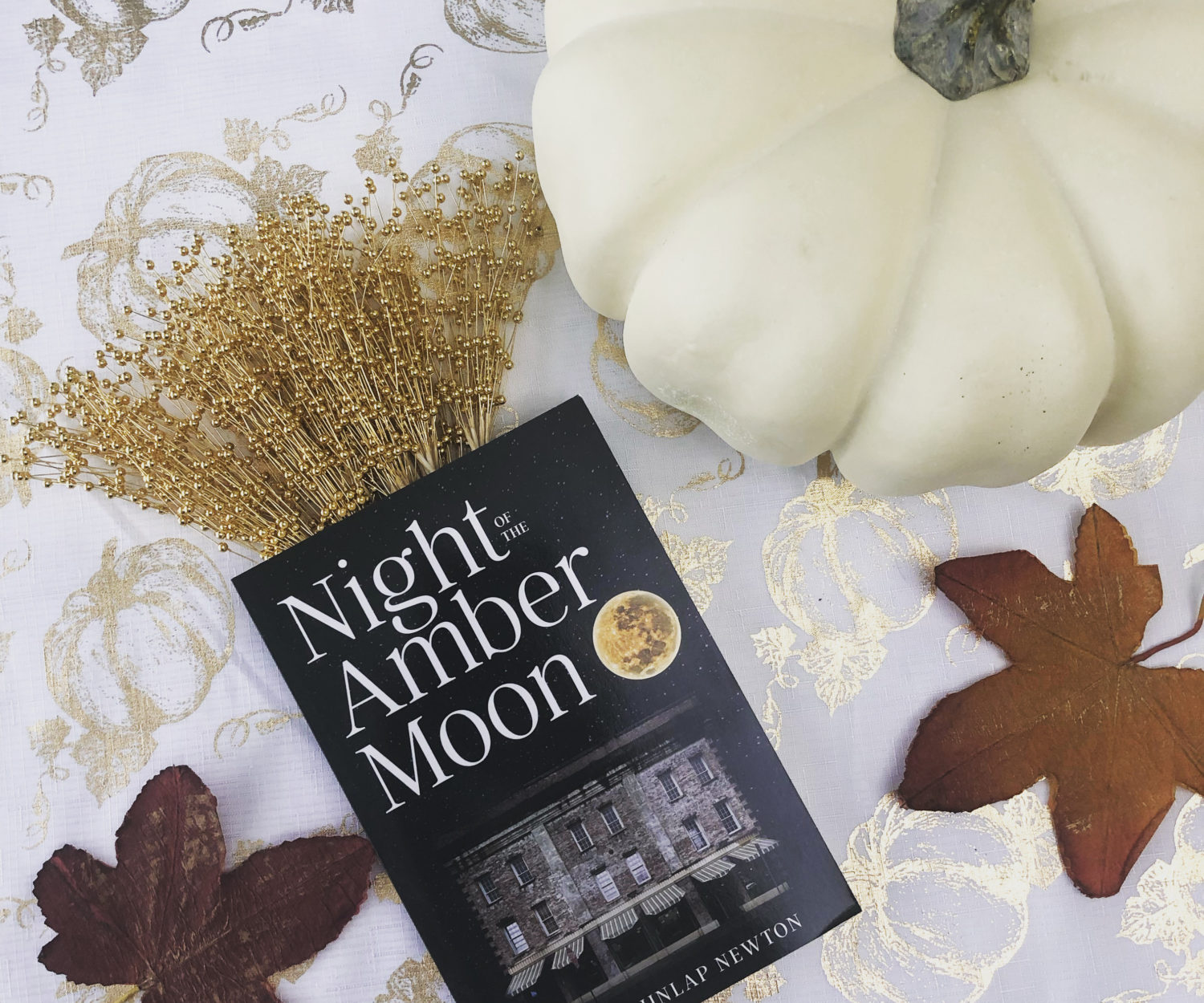 Night of the Amber Moon book cover